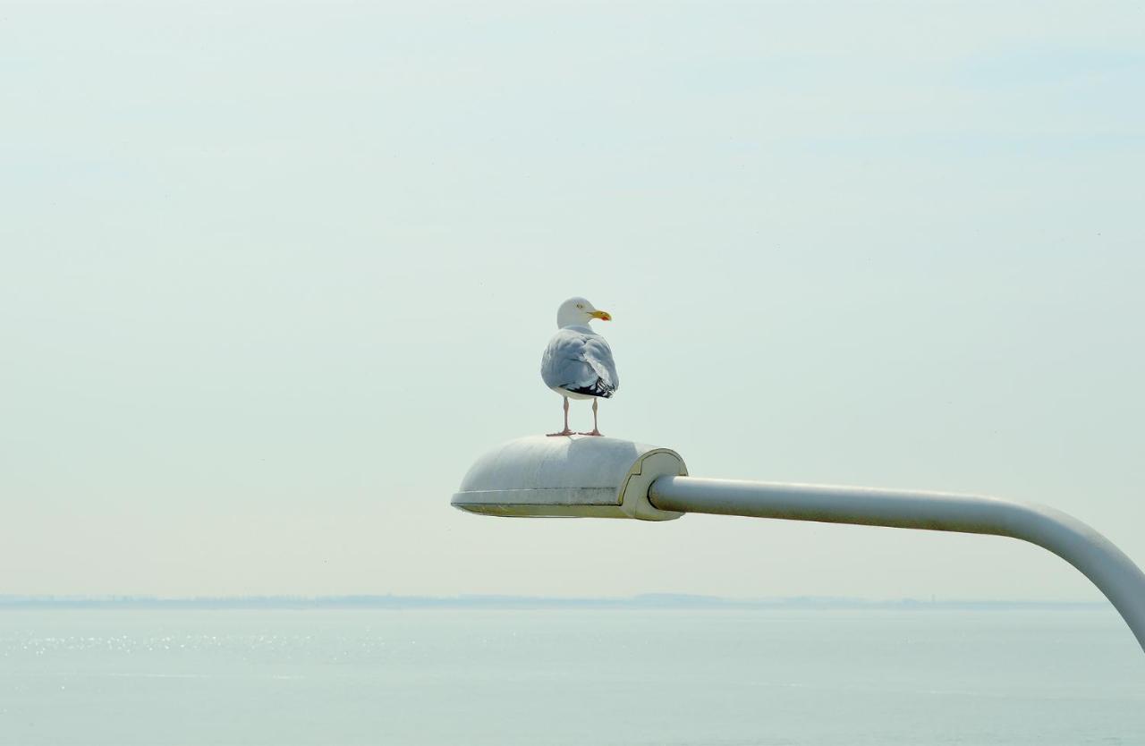 Belgische Loodsensocieteit Hotel Vlissingen Bagian luar foto